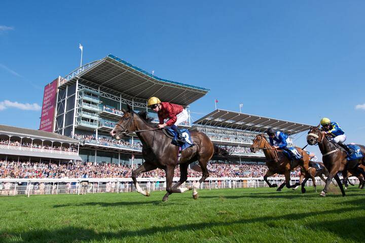 Racing at York Racecourse